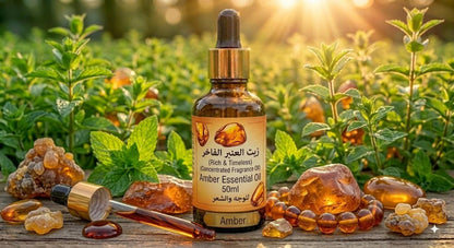 Oriental & Amber - Dr.NOURELDIN ABO HAMZHOriental & AmberDr.NOURELDIN ABO HAMZHDr.NOURELDIN ABO HAMZH